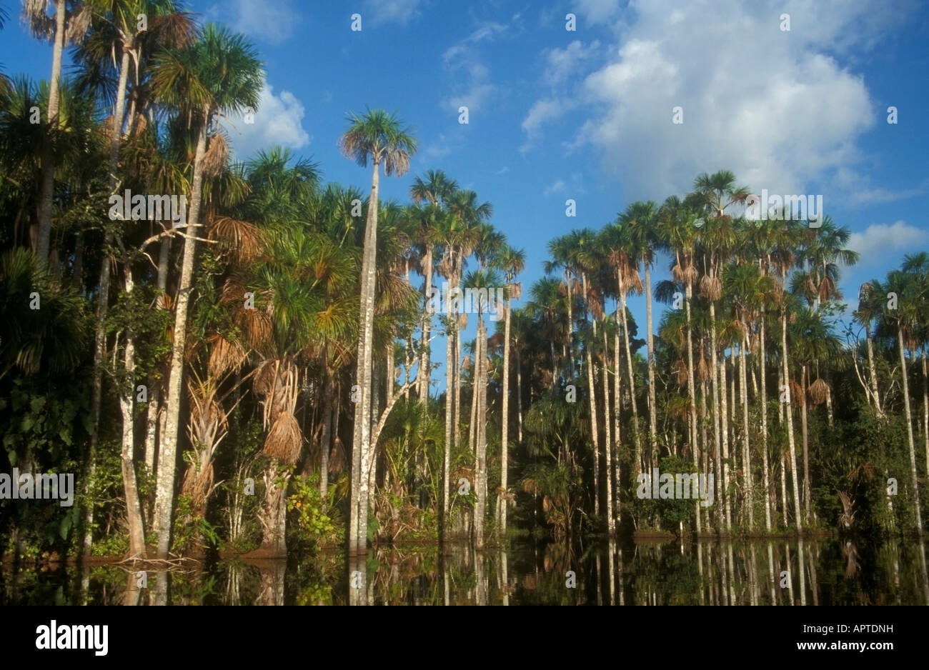 Lac Sandoval Pérou Banque D'Images