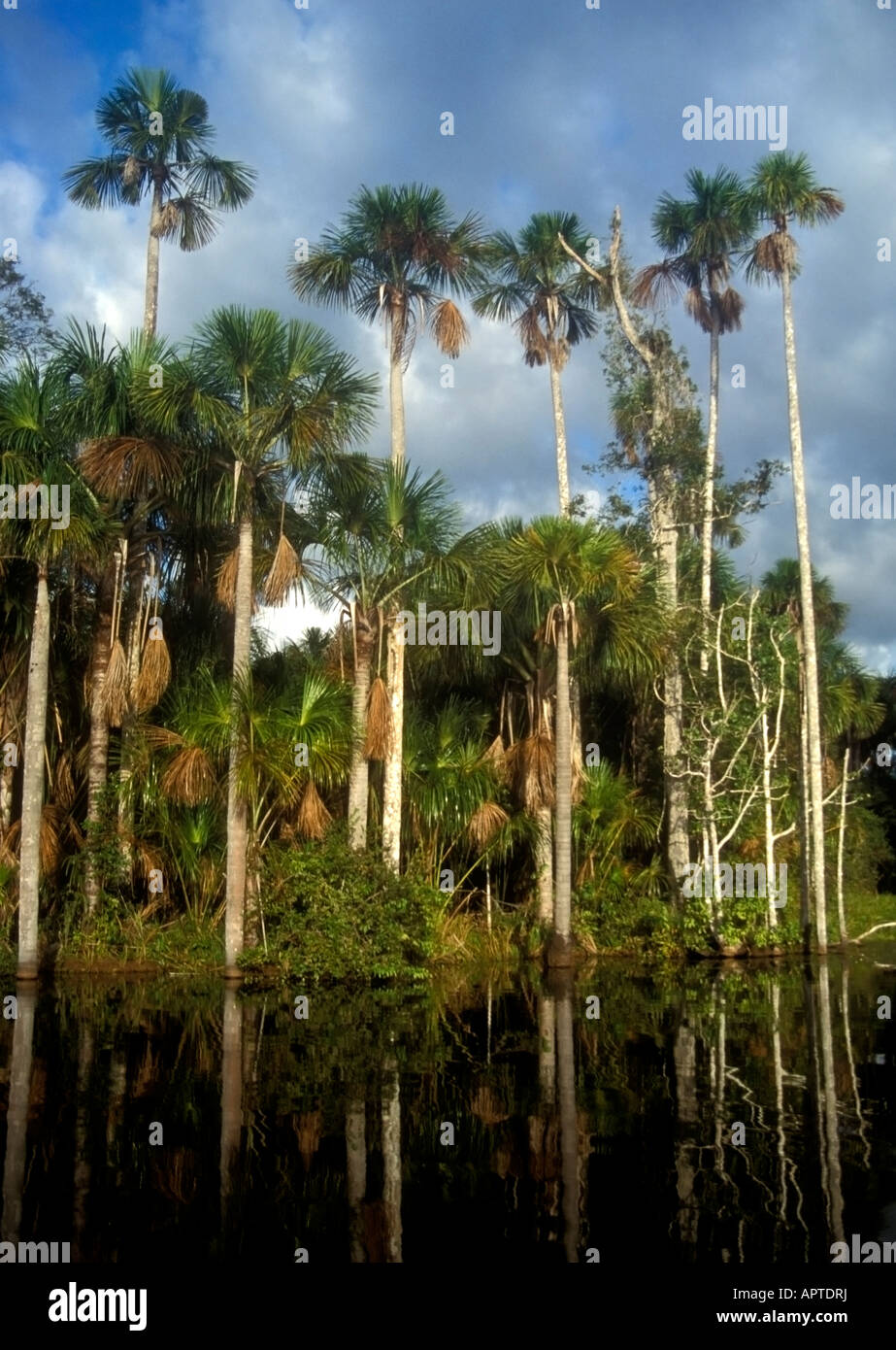 Lac Sandoval Pérou Banque D'Images