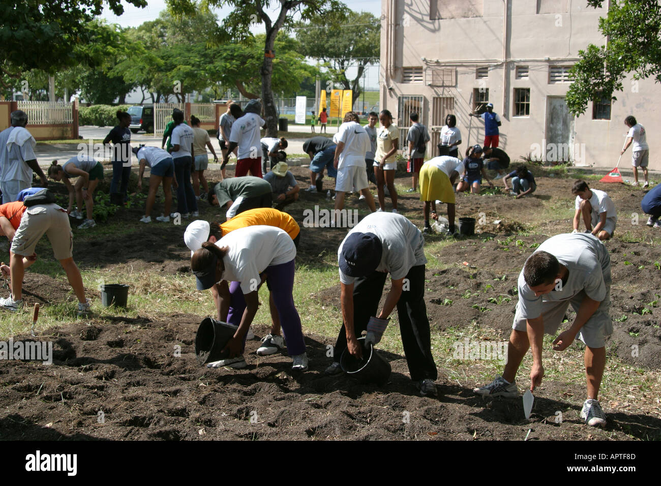 Miami Florida, mains sur HANDSON Miami Day, bénévoles communautaires bénévolat travailleurs du travail, travail d'équipe travaillant ensemble au service de l'Hel Banque D'Images
