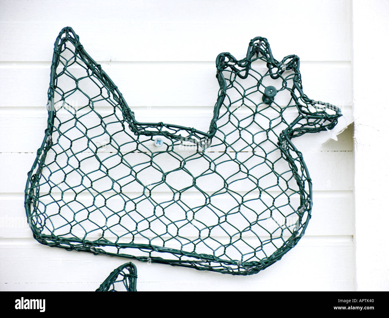 Le fil de poulet poulet au Flower Show Banque D'Images