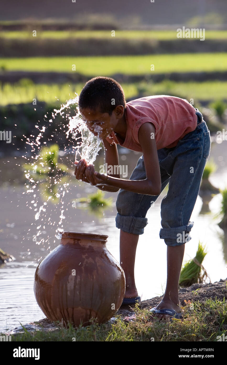 Village de l'Inde rurale garçon laver le visage d'un pot en argile à côté d'un champ de riz. L'Andhra Pradesh, Inde Banque D'Images