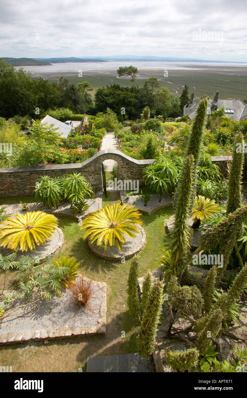 Jardin exotique avec la plantation d'un jardin de gravier avec Echium pininana et Cycas revoluta Banque D'Images