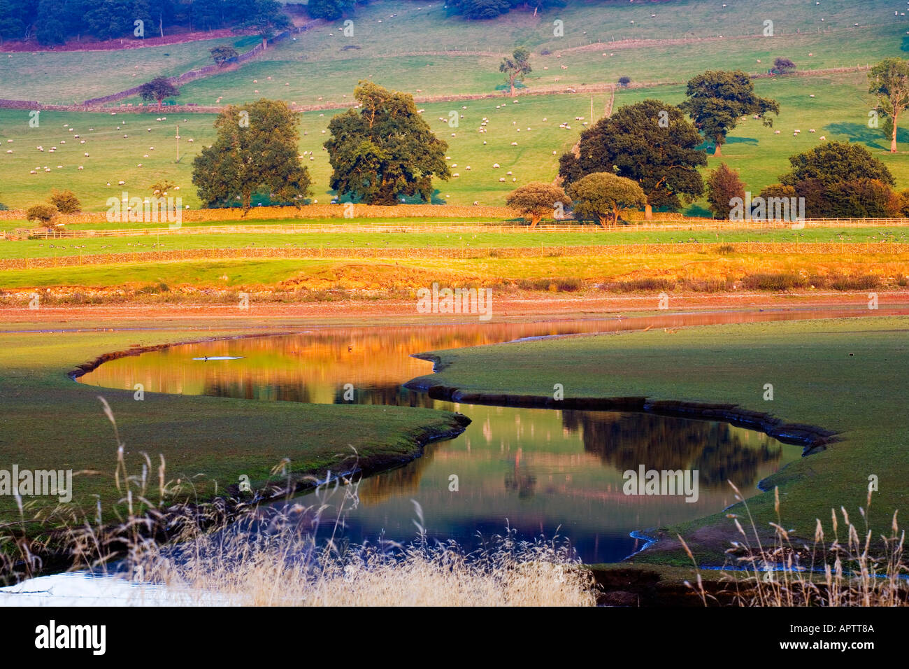 La rivière Nidd s'écoule dans le réservoir Gouthwaite au coucher du soleil près de Ramsgill dans Nidderdale Yorkshire Angleterre Banque D'Images