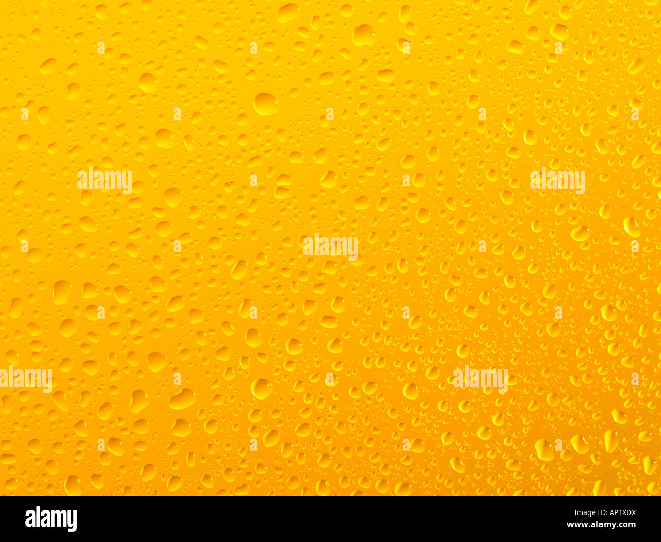 Close Up d'un verre de bière avec condensation Banque D'Images