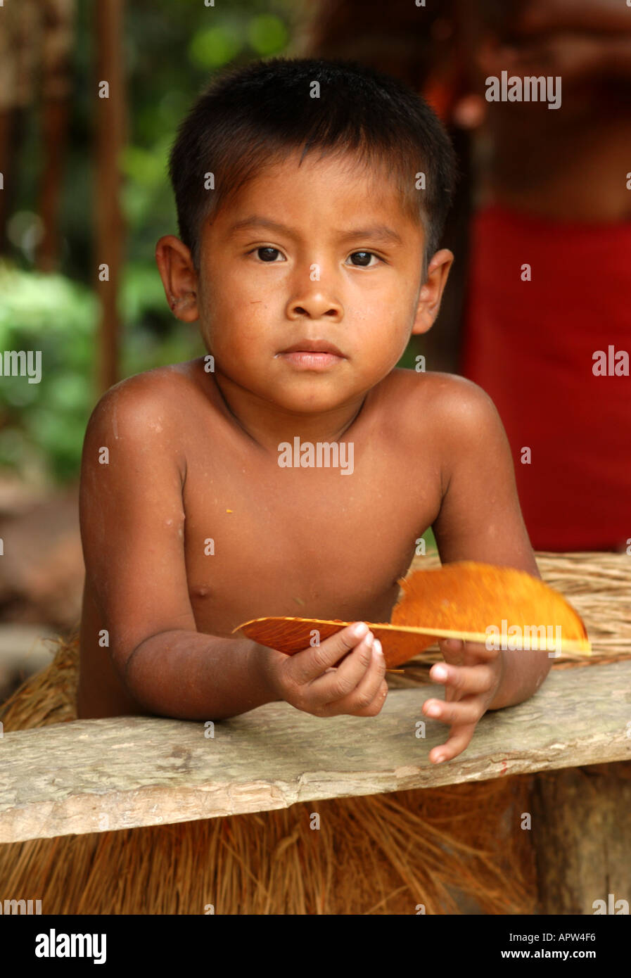 Amazon jungle boy Banque D'Images