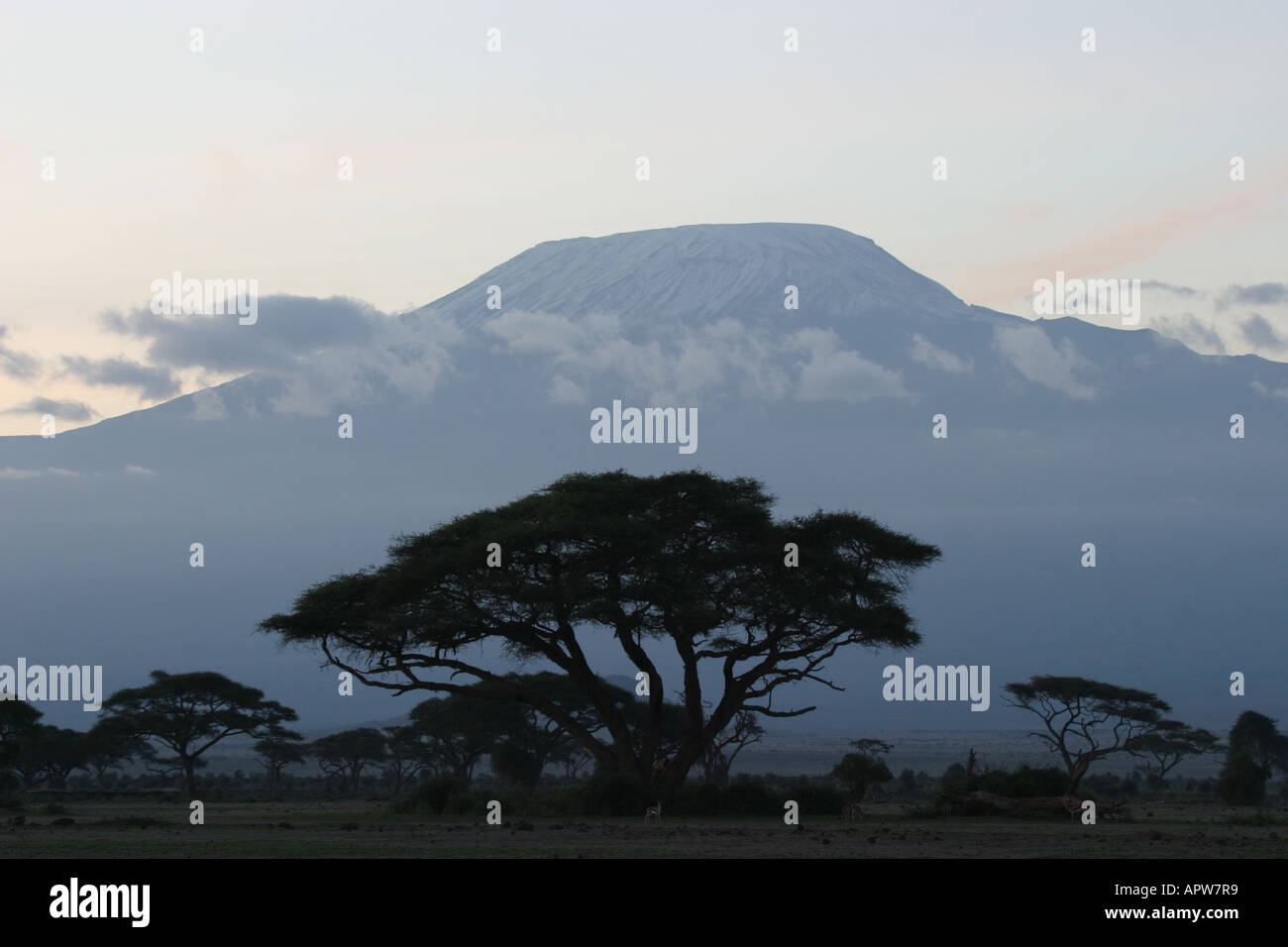 Kilimandjaro Kibo Après Le Coucher Du Soleil Plus Haute