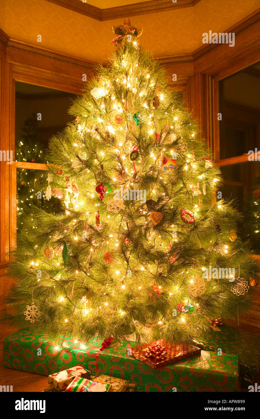 Sapin de Noël Banque D'Images