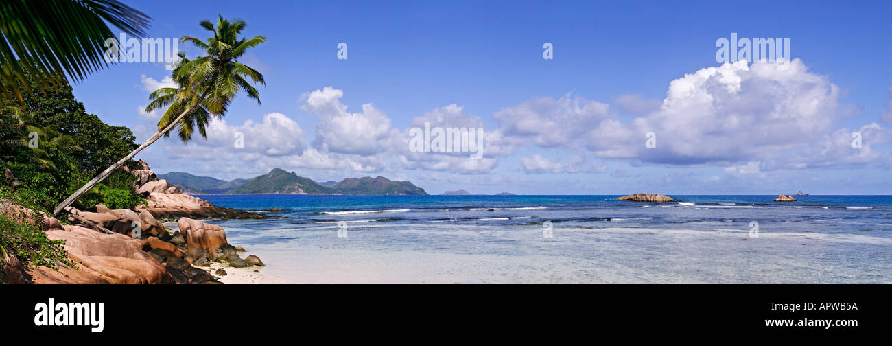 Cocotiers et sur la plage l'île de La Digue Seychelles Banque D'Images