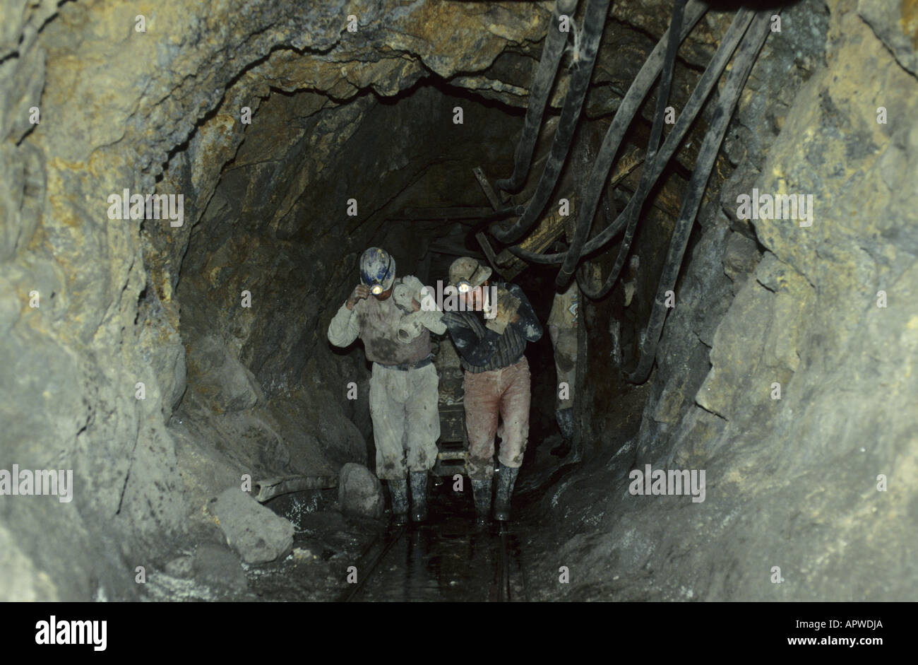 Les mineurs de travailler dans le Cerro Rico. Potosi, Bolivie Banque D'Images