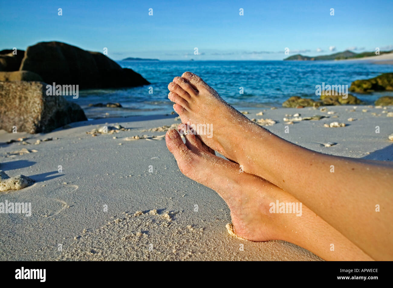 Les jambes de woman relaxing on beach parution Modèle Seychelles Cousine Island Banque D'Images