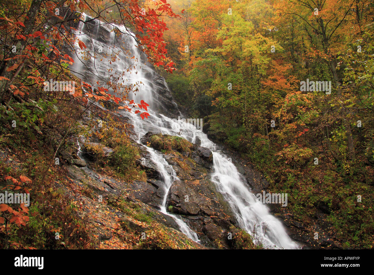 Amicalola Falls, Amicalola Falls State Park, Juno, Georgia, USA Banque D'Images