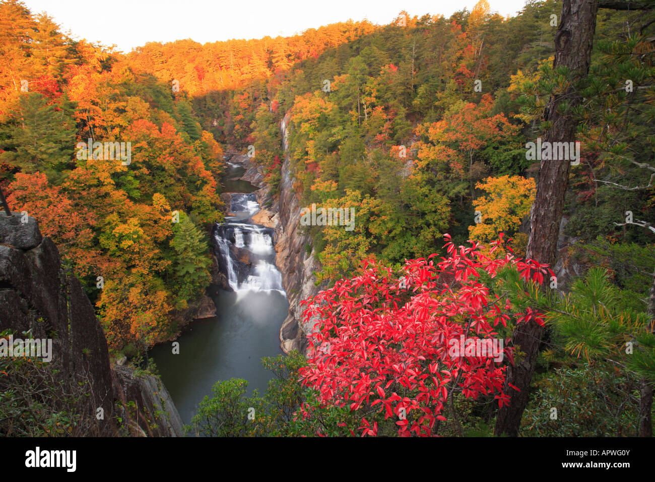 Le lever du soleil, parc national des Gorges de Tallulah, Tallulah Falls, New York, USA Banque D'Images