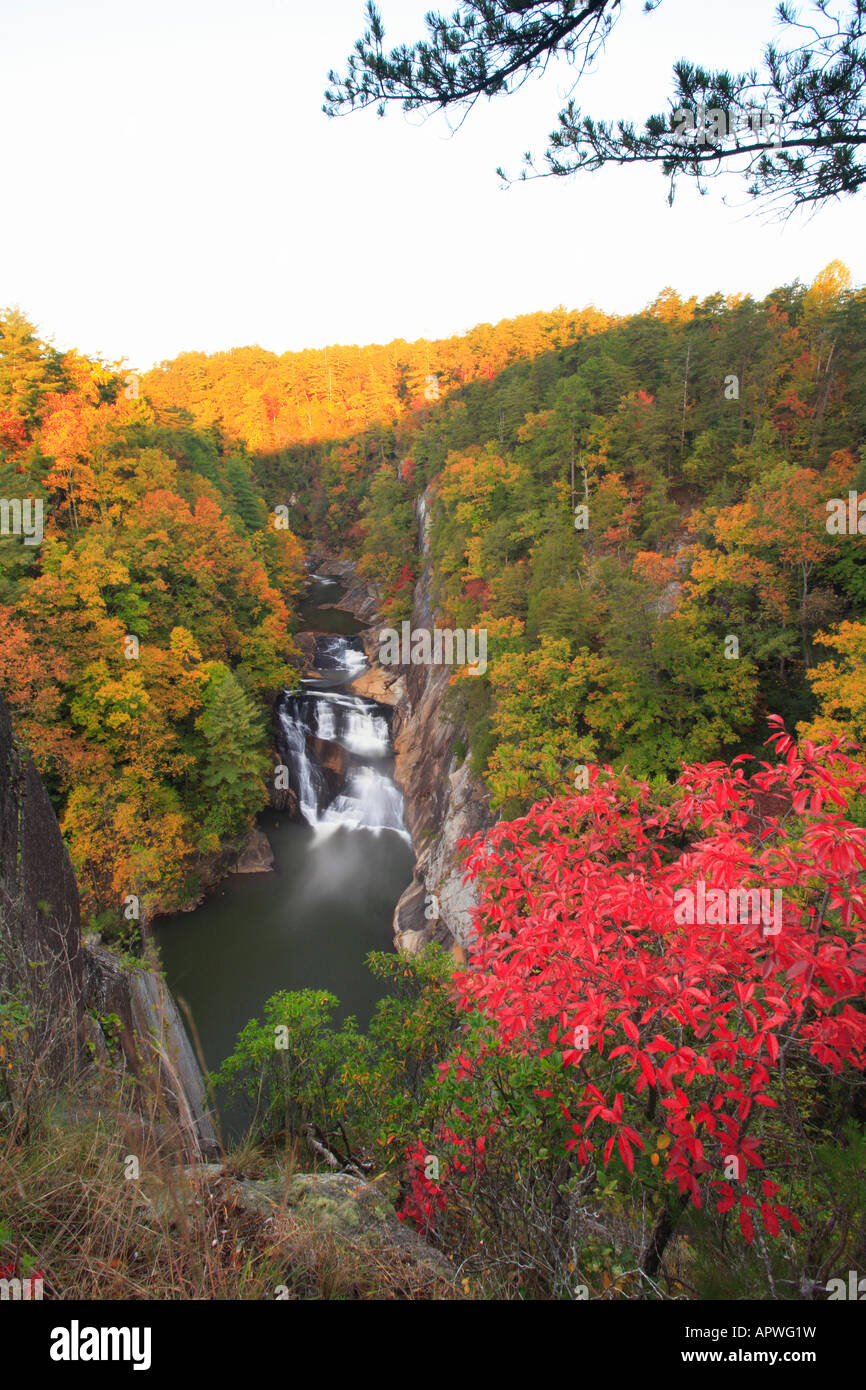 Le lever du soleil, parc national des Gorges de Tallulah, Tallulah Falls, New York, USA Banque D'Images