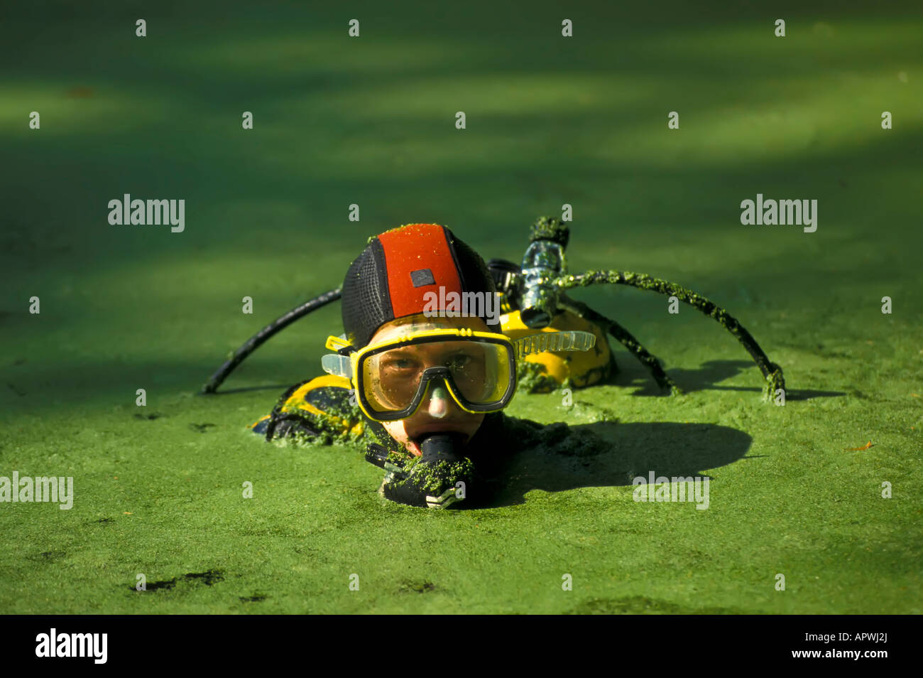 Scuba Diver couvert de lentilles d'eau douce plongée Floride printemps humour étrange étrange Banque D'Images