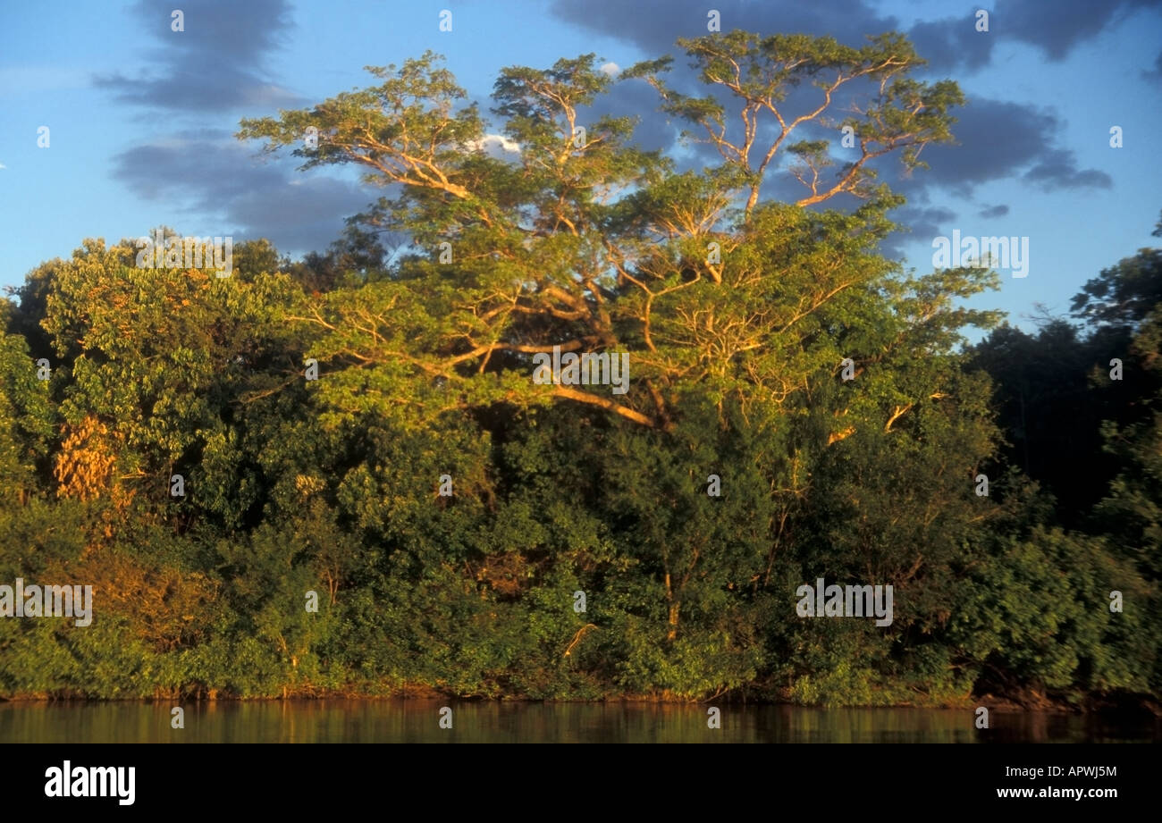 Ilha do Rio Javaés Félice Brésil Banque D'Images
