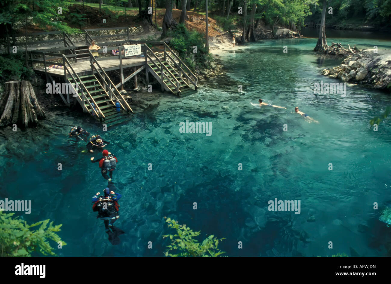 L'eau douce plongée Floride printemps madison Blue Springs State Park, les plongeurs nagent à la surface Banque D'Images