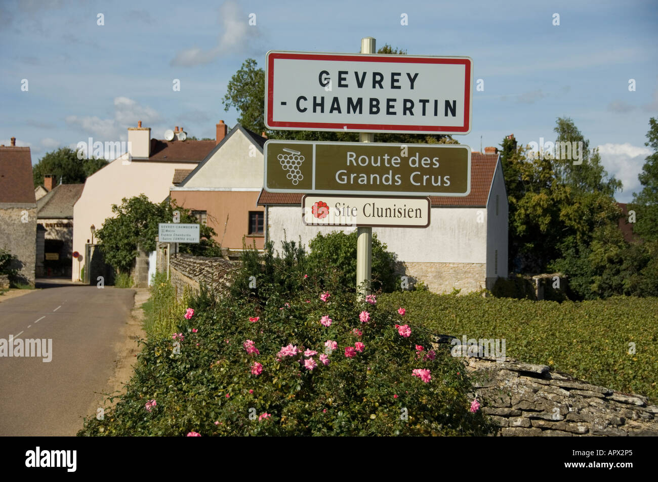 Entrée du village de Gevrey Chambertin, Bourgogne, France Banque D