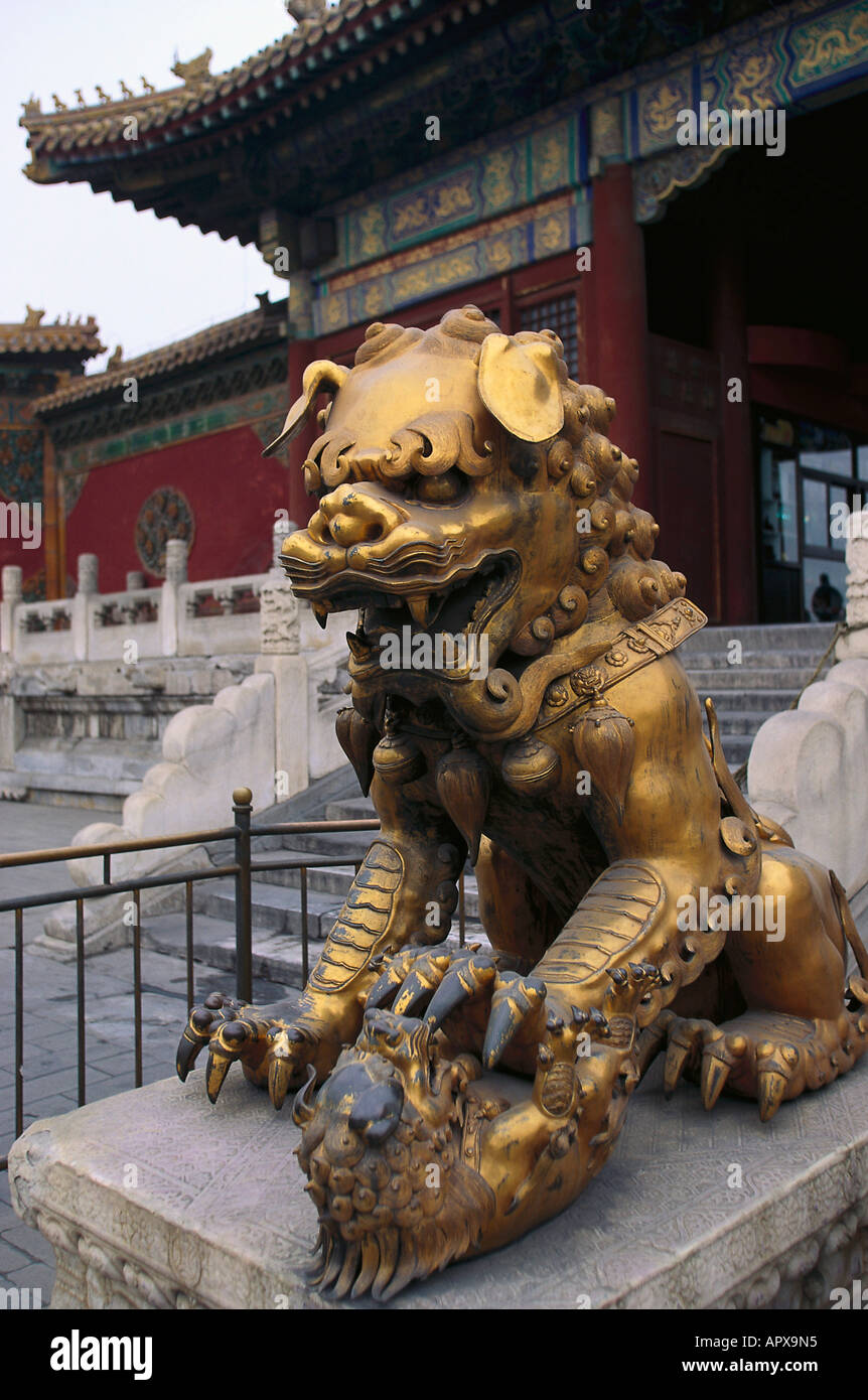 Golden Lion de Bronze à la porte de la pureté souveraine, Forbidden City Beijing, Chine Banque D'Images