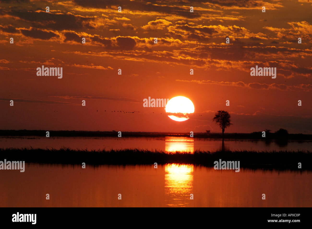 Coucher du soleil dans un ciel orange vif reflète dans l'eau. Banque D'Images