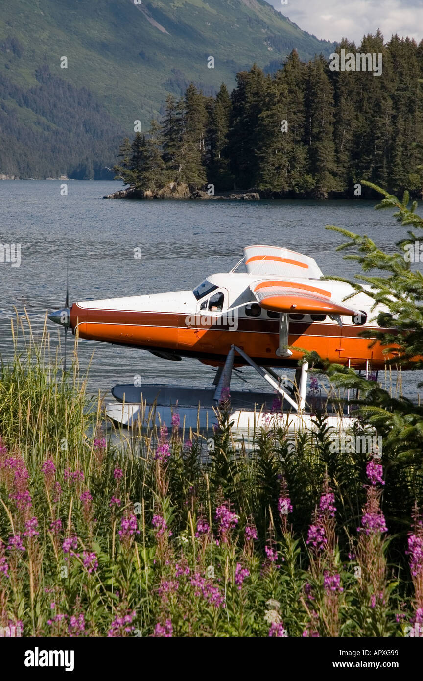 Kachemak Bay Avion Turbo Otter entourée de fleurs et de montagne près de Homer, Alaska Banque D'Images