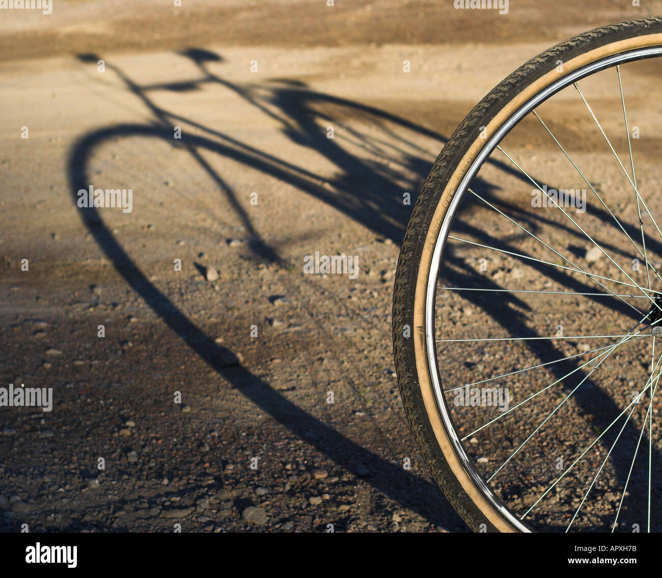 Roue de bicyclette détail ombre Banque D'Images