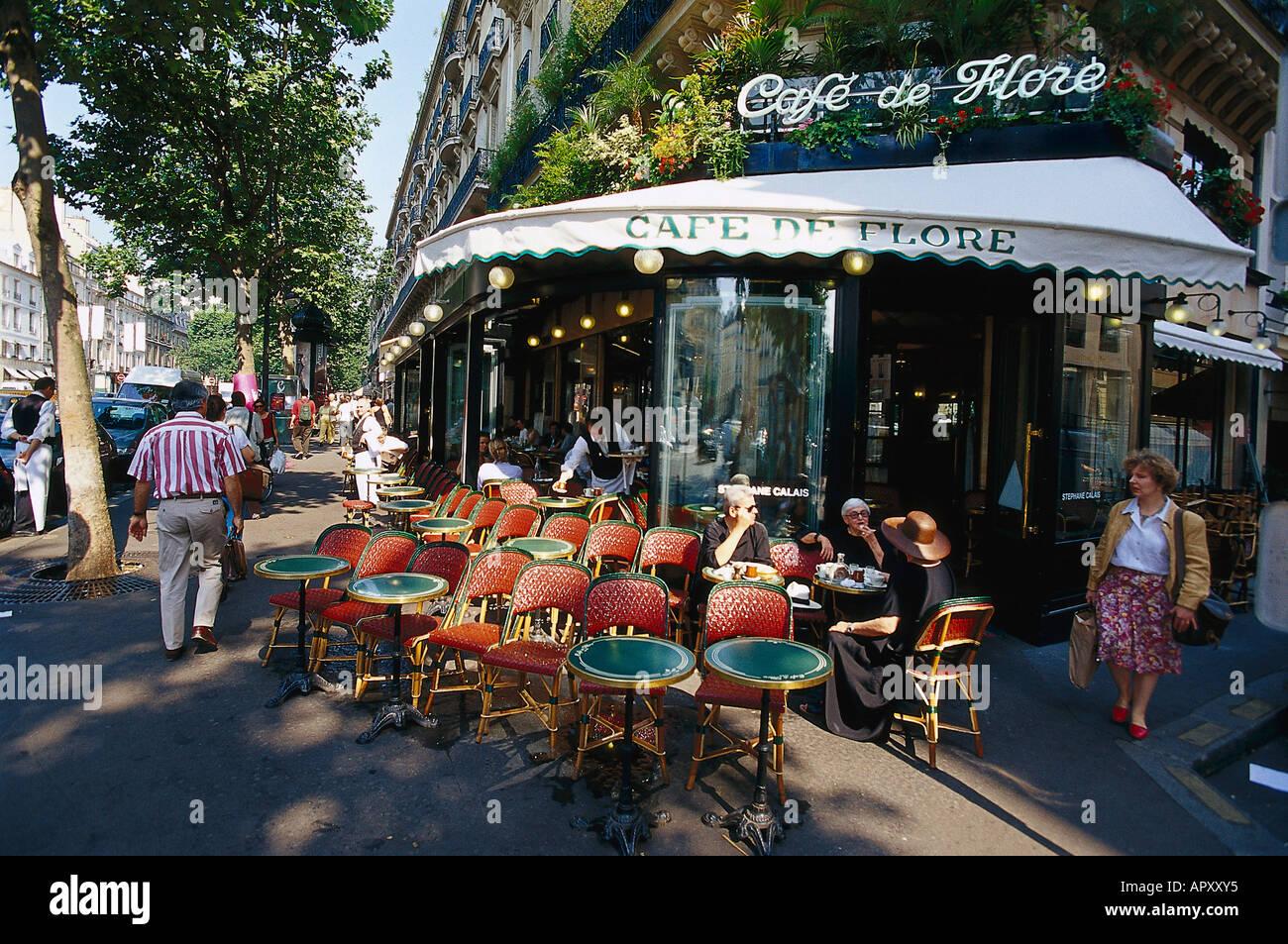 Café de Flore, Saint Germain Paris, France Banque D'Images