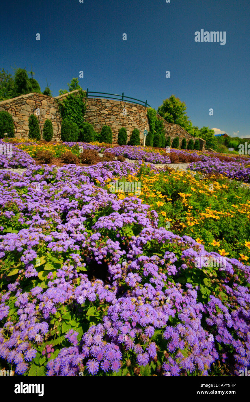 North Carolina Arboretum, Asheville, Caroline du Nord, États-Unis Banque D'Images