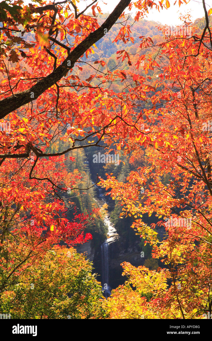 Raven Cliff Falls, Caesars Head State Park, Cleveland, Caroline du Sud, USA Banque D'Images