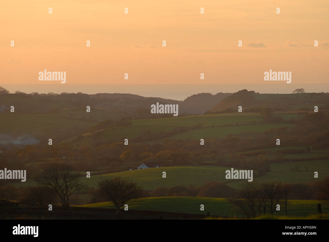 Mcg dans l'Ystwyth Wyre ligne faille géologique, le Pays de Galles Ceredigion Banque D'Images