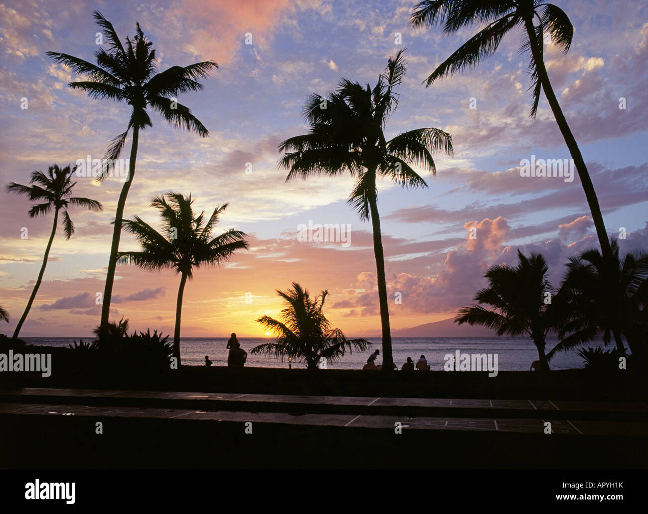 Une vue sur les palmiers sur Napili Bay au coucher du soleil sur la côte ouest de Maui Banque D'Images