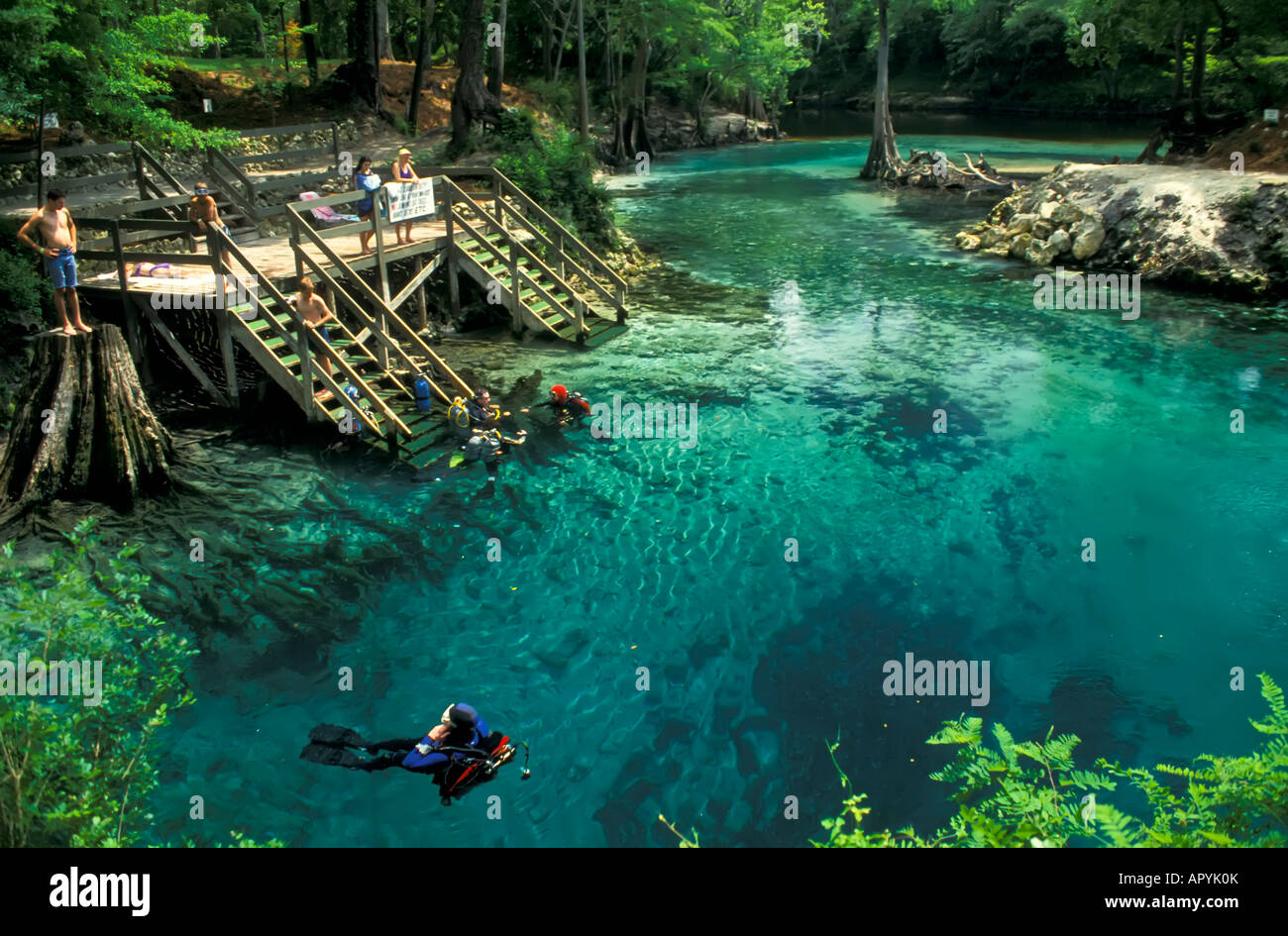 Divers madison Blue Spring State Park en Floride au printemps de l'eau douce sous-marine Banque D'Images