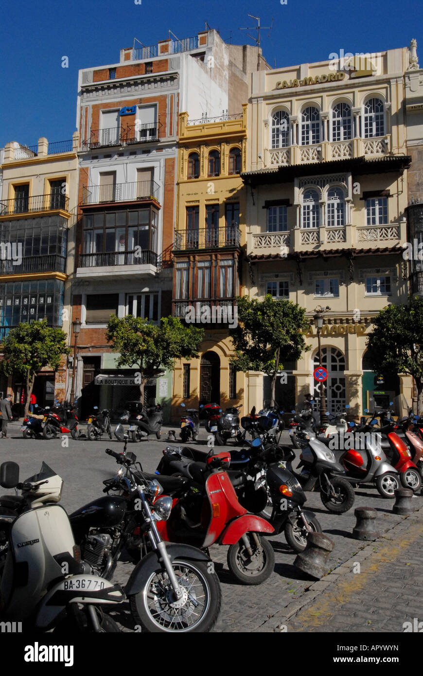 Plaza de San Francisco Seville Espagne Banque D'Images