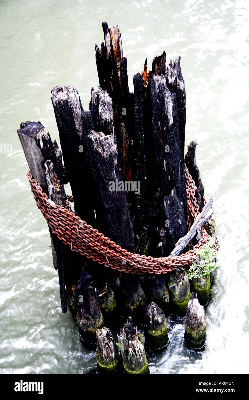 Wraped bois brûleur avec caine dans l'eau Banque D'Images