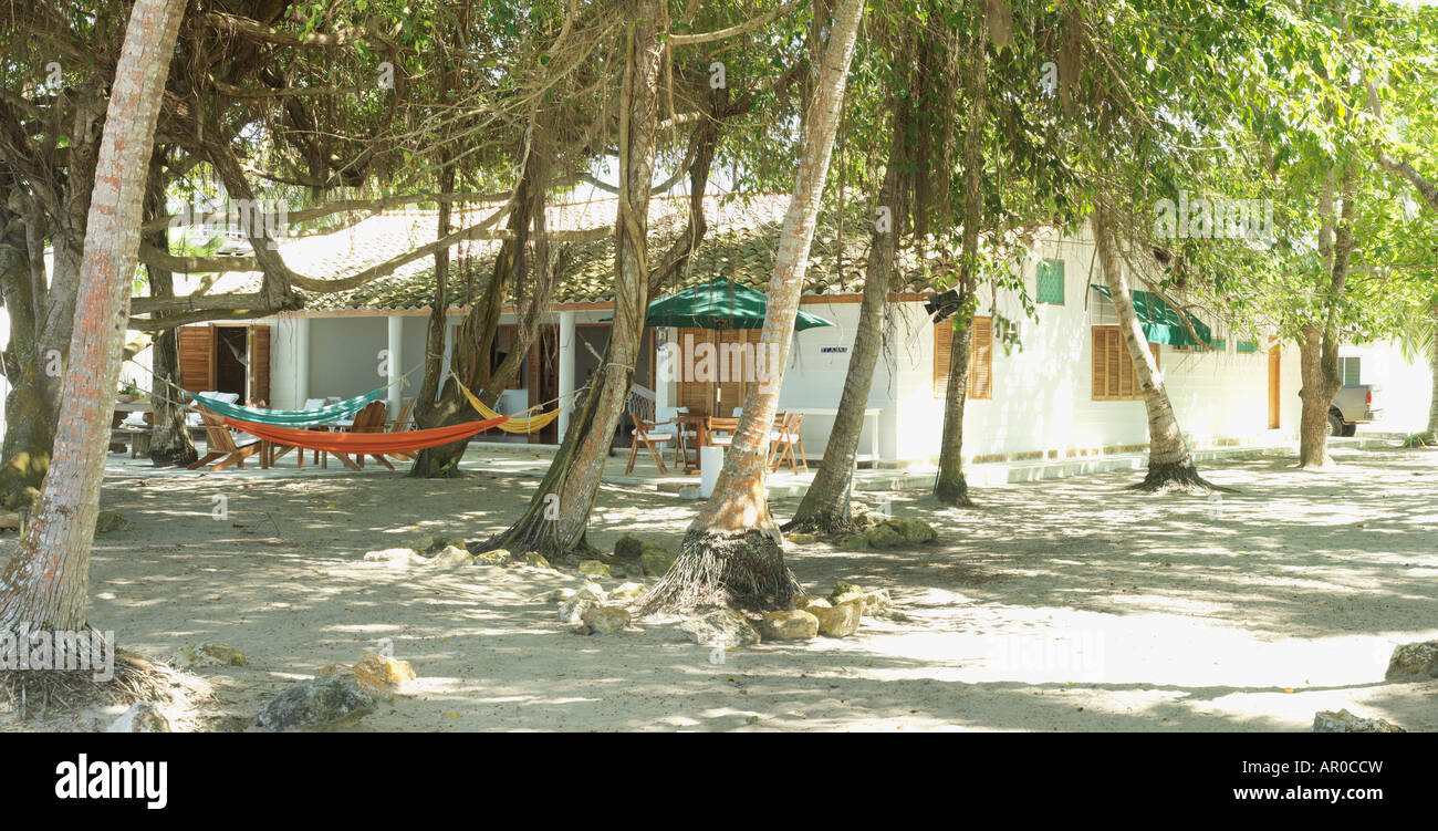 Une maison de plage entourée de transats et de palmiers de la plage de Tolu, Colombie Banque D'Images