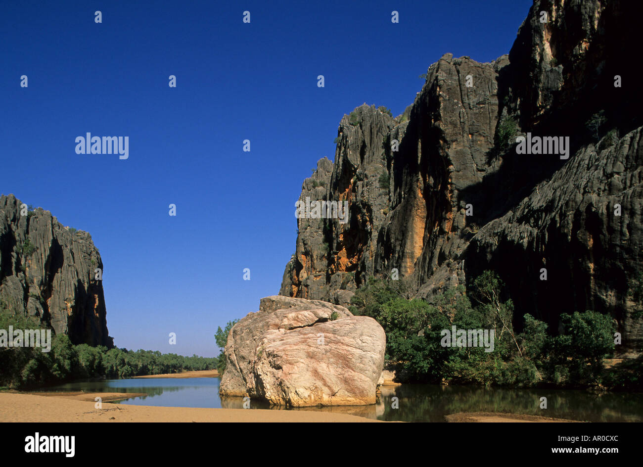 Windjana Gorge, récif dévonien, Windjana Gorge National Park, Kimberley, Australie occidentale, Australie Banque D'Images