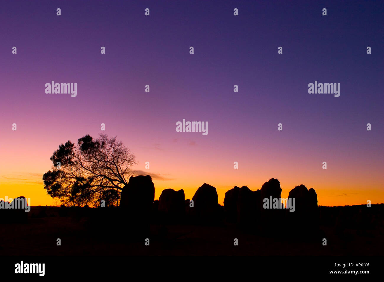 Les roches calcaires du Désert des Pinnacles au Parc National de Nambung photographié au lever de l'ouest de l'Australie Banque D'Images