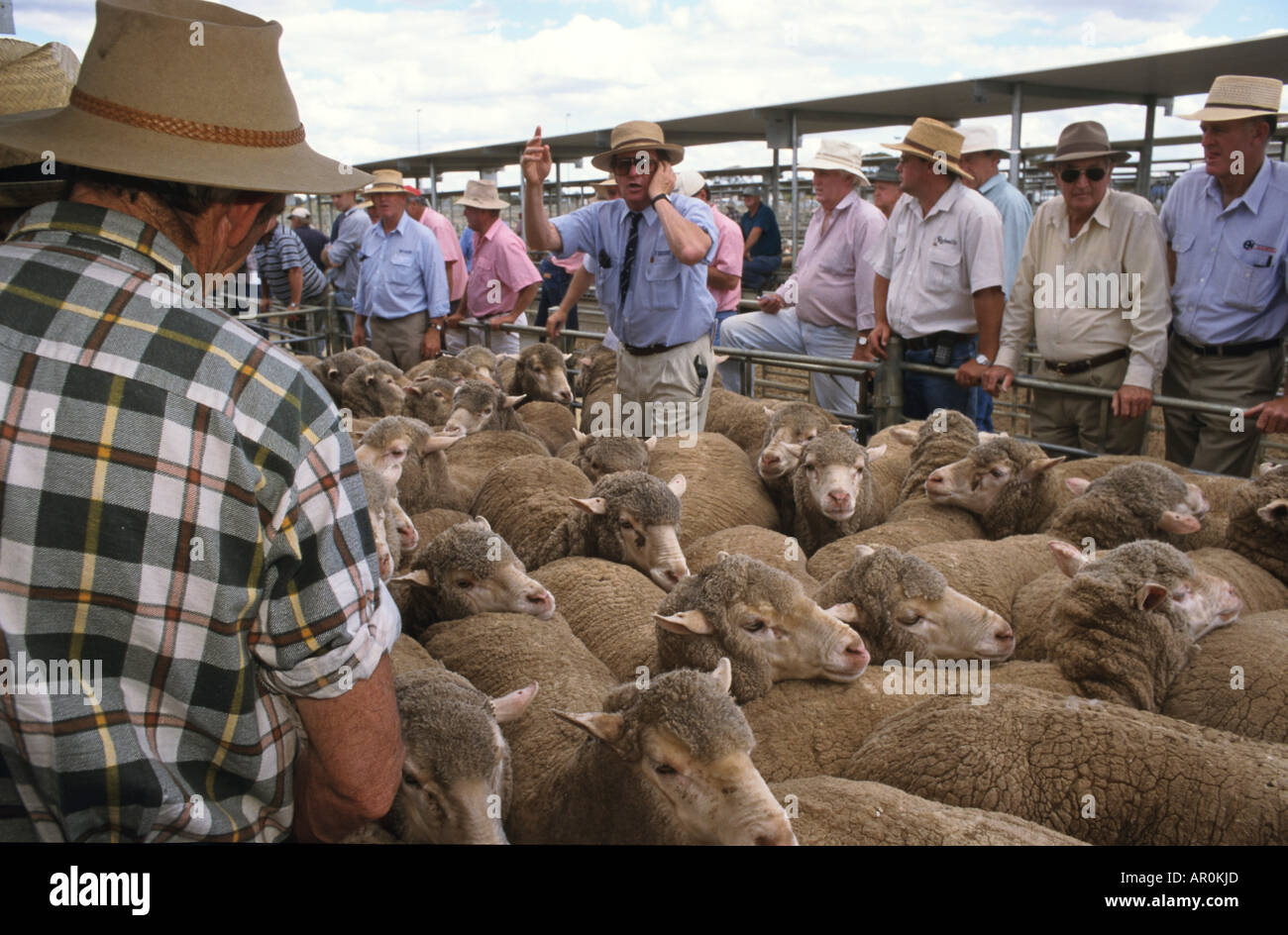 Vente de moutons, Bendigo hommes chemises chapeaux en été et d'offres pour les moutons moutons à l'encan à Bendigo, Victoria, Australie Banque D'Images