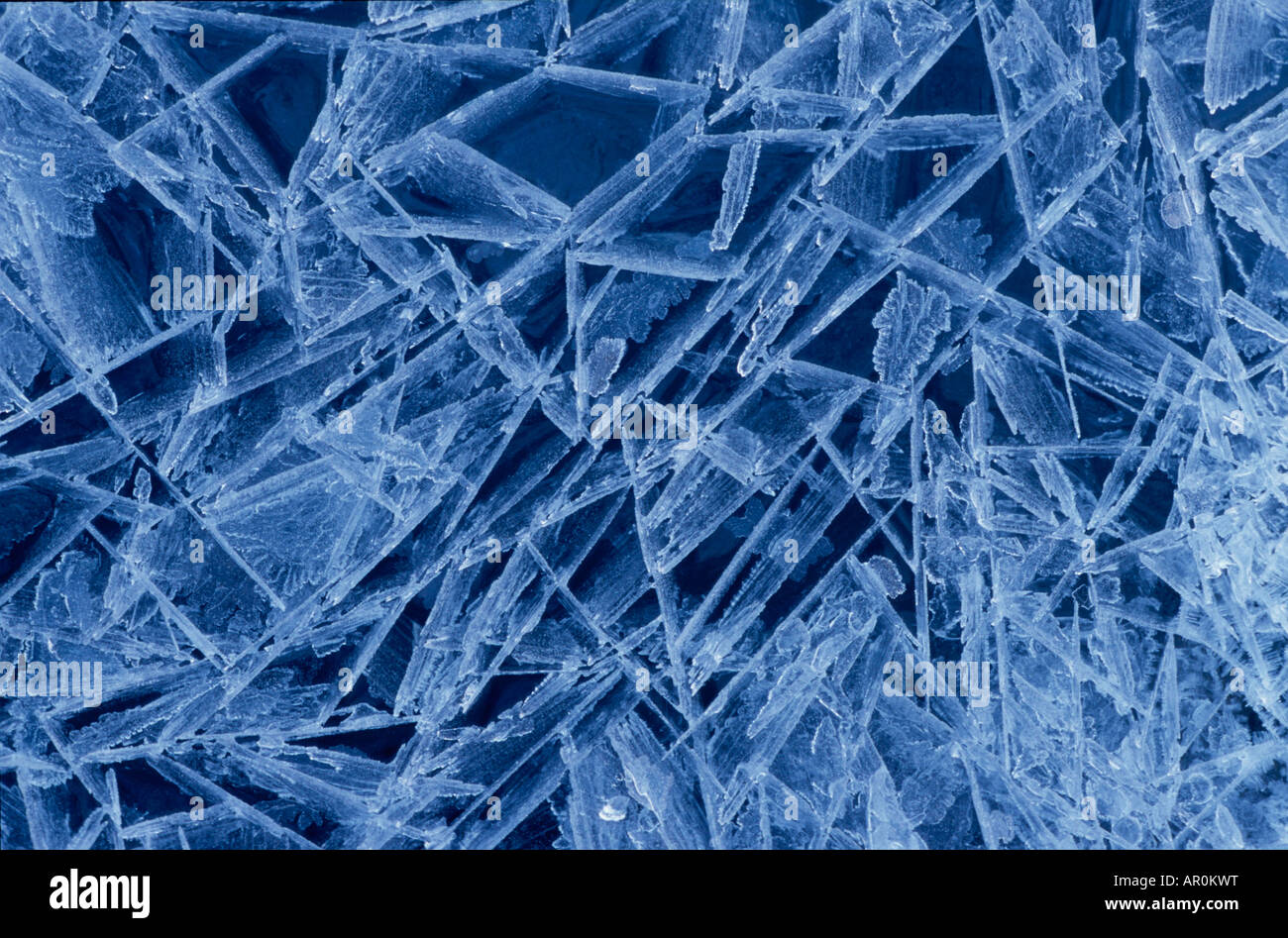 Des cristaux de glace se forment sur la rivière Portage Hiver Alaska Banque D'Images