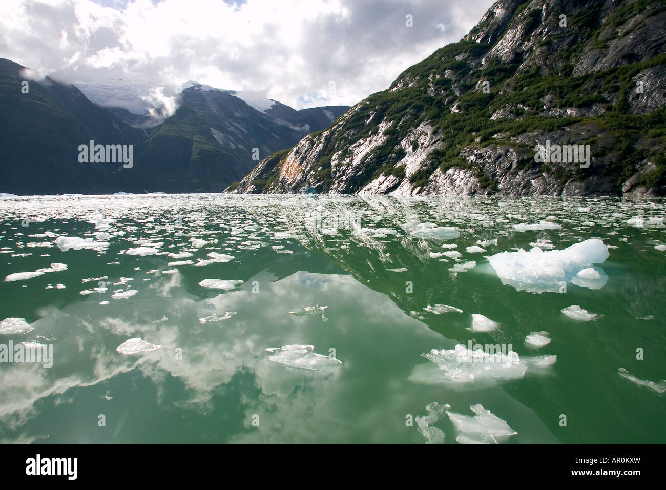 Iceberg dans Fords-Terror Tracy Arm AK Sauvage Tongass NF d'été se Banque D'Images