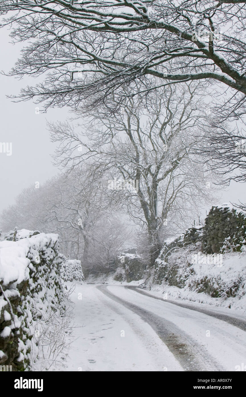 Kirkstone Pass dans le Lake District dans la neige lourde UK Banque D'Images