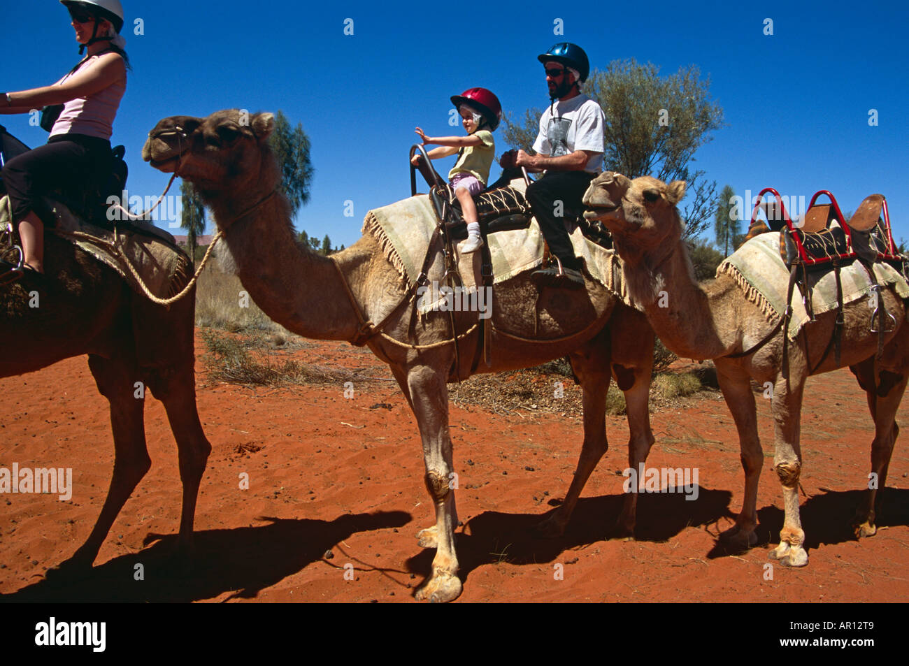 Train de chameaux et les cavaliers, Kata Tjuta National Park, Territoire du Nord, Australie Banque D'Images