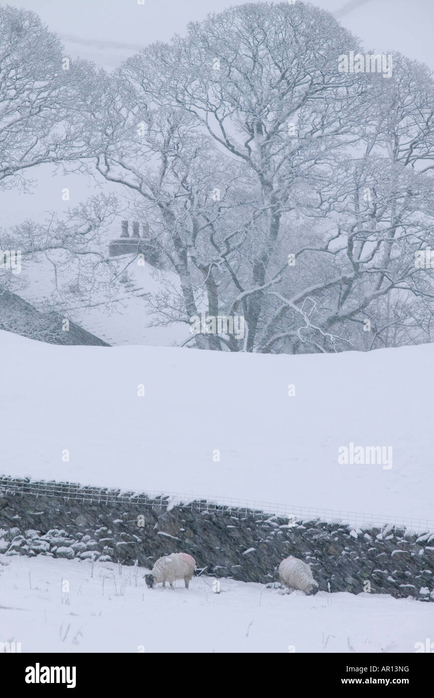 Une vieille ferme sur la puce dans le Lake District dans la neige lourde UK Banque D'Images