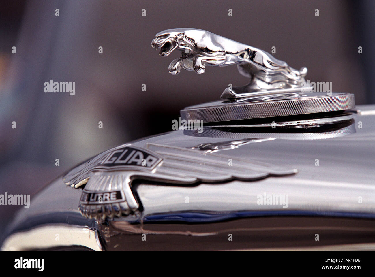 Jaguar hood ornament Banque de photographies et d'images à haute résolution  - Alamy