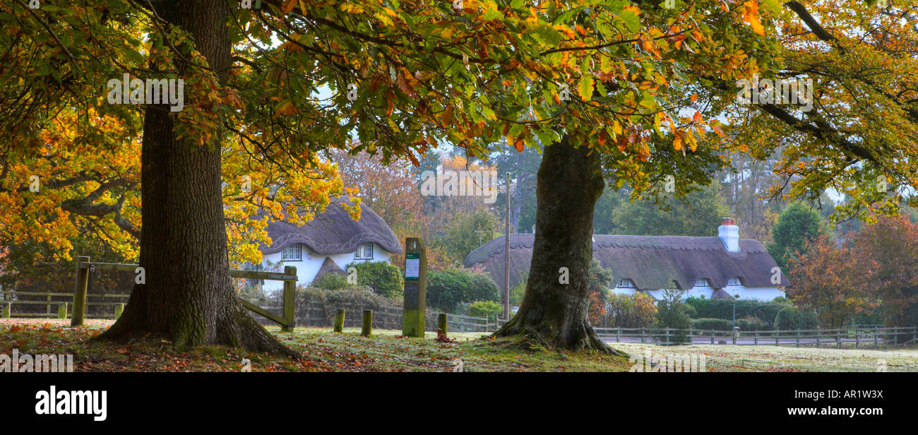 Chaumières traditionnelles à Swan vert dans la New Forest, Hampshire Banque D'Images