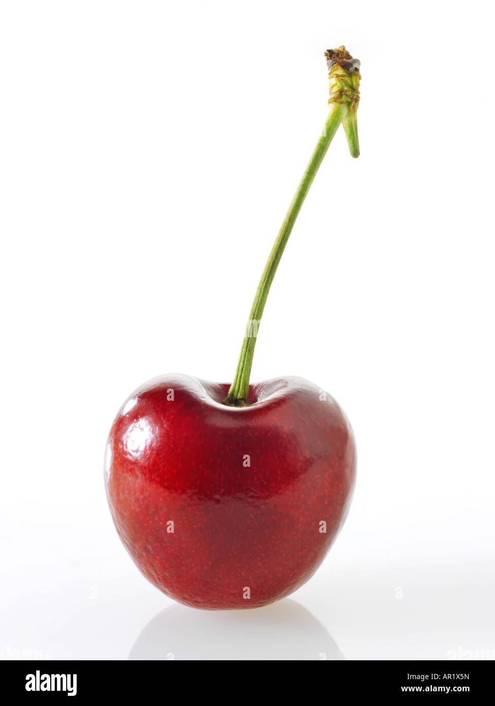 Cerise rouge" avec Banque D'Images