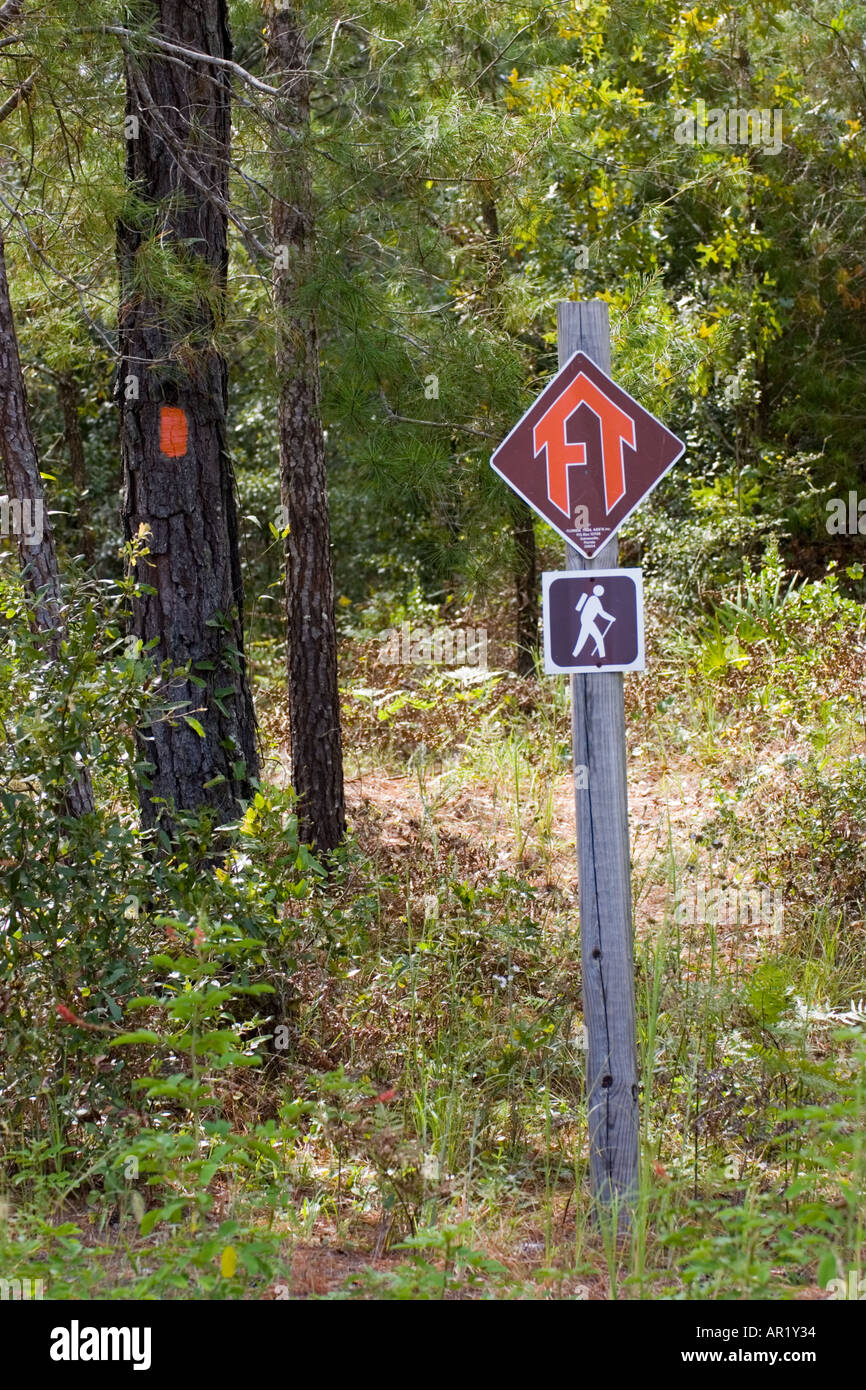 Marqueur de piste ouvre la voie sur la croix du Nayls Florida Greenway Trail bike trail Banque D'Images