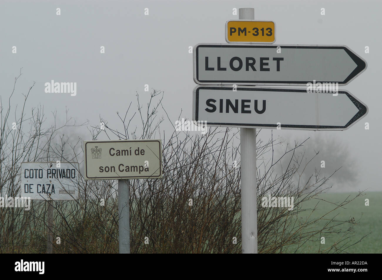 Petit chemin rural hiver à Majorque Majorque Brouillard Pla de l'intérieur de l'Espagne Europe Méditerranée Banque D'Images