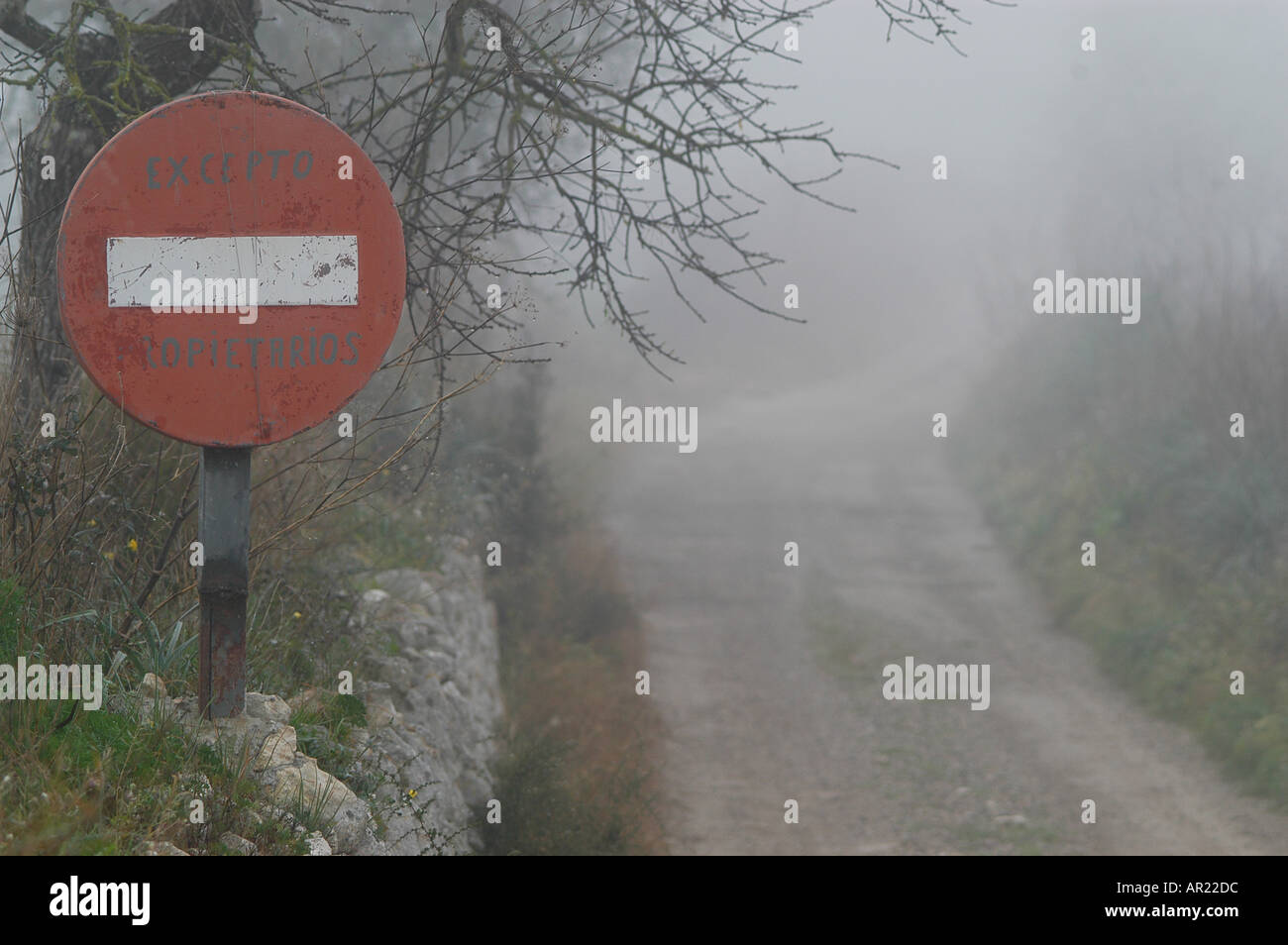 Petit chemin rural hiver à Majorque Majorque Brouillard Pla de l'intérieur de l'Espagne Europe Méditerranée Banque D'Images