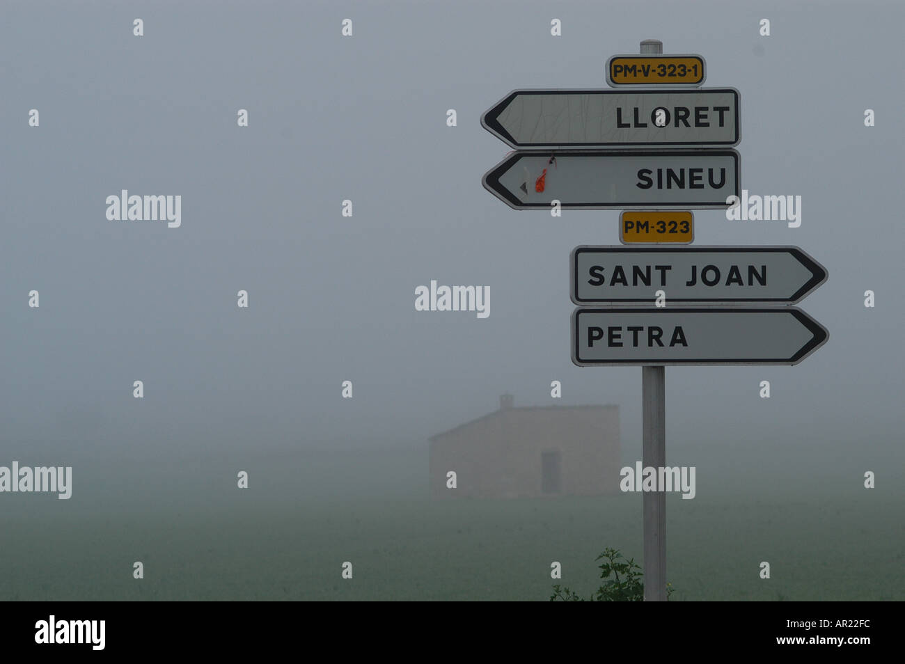 Petit chemin rural hiver à Majorque Majorque Brouillard Pla de l'intérieur de l'Espagne Europe Méditerranée Banque D'Images