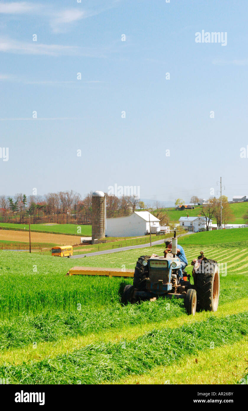 Le fauchage du foin, Dayton, vallée de Shenandoah, en Virginie, USA Banque D'Images